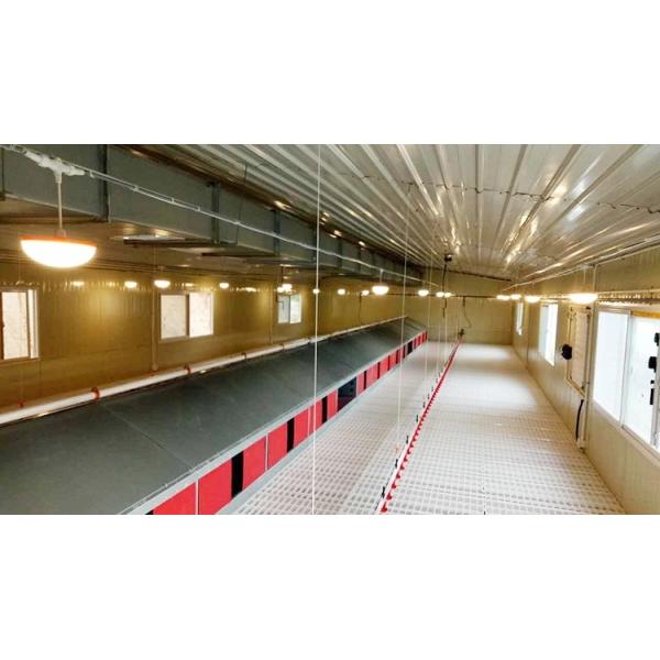 Настил предкрылка птицы пола сетки оборудования цыпленка пластиковый