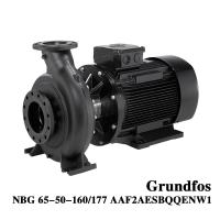Grundfos NBG 65-50-160/177 Industrial Electric Horizontal Single Stage Volute  Centrifugal Water Pump for Water Conservancy Projects