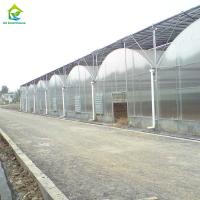 Frigorífico hidropónico de folha de policarbonato industrial de tomate e frutas