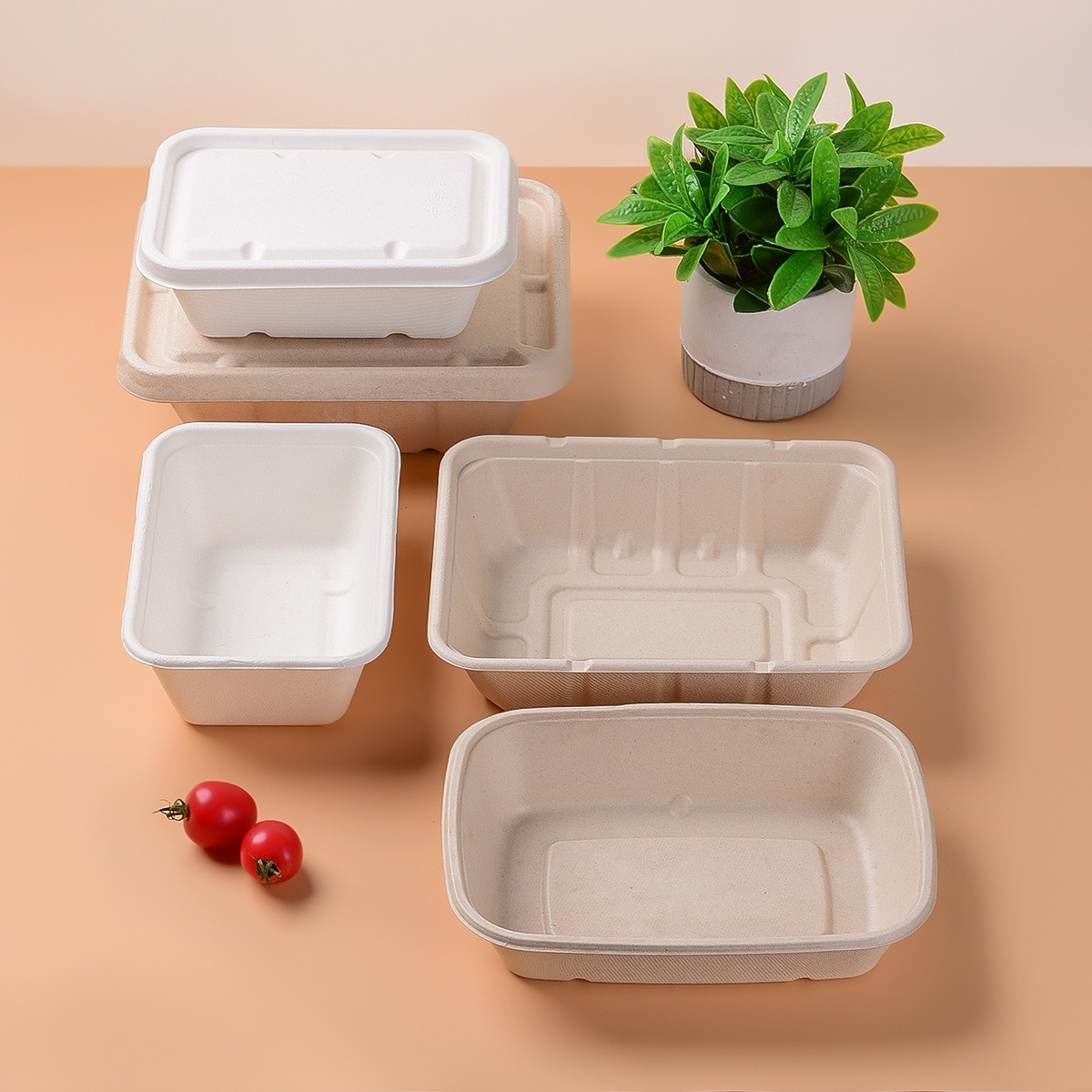 Sugarcane Lunch Box Biodegradable Compostable Food Container for Estimated Delivery Time