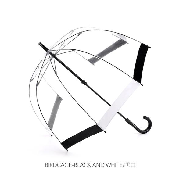 Stylish Dome Shape Clear PVC Plastic Rain Umbrella for Adults Apollo Minimalist Design