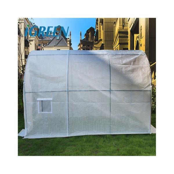 Customizable Agricultural Equipment Mini Plastic Plant Greenhouses Single Layer