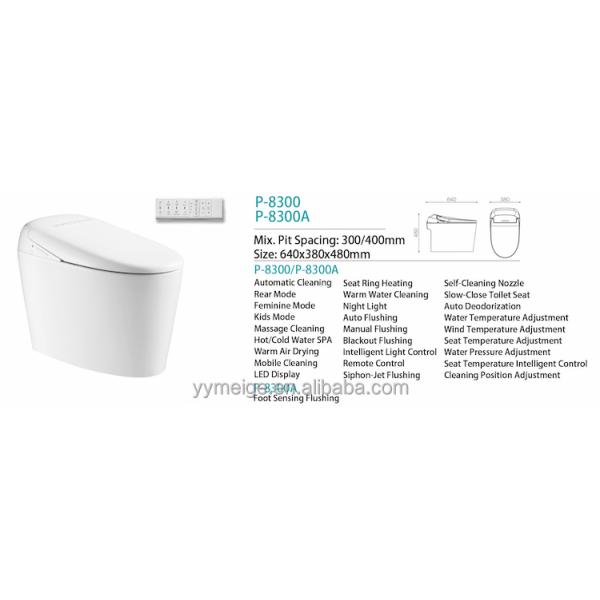 Eco Smart Automatic Intelligent Toilet All in One OEM ODM Massage Washing Multi Function Modern Design Style for Bathroom