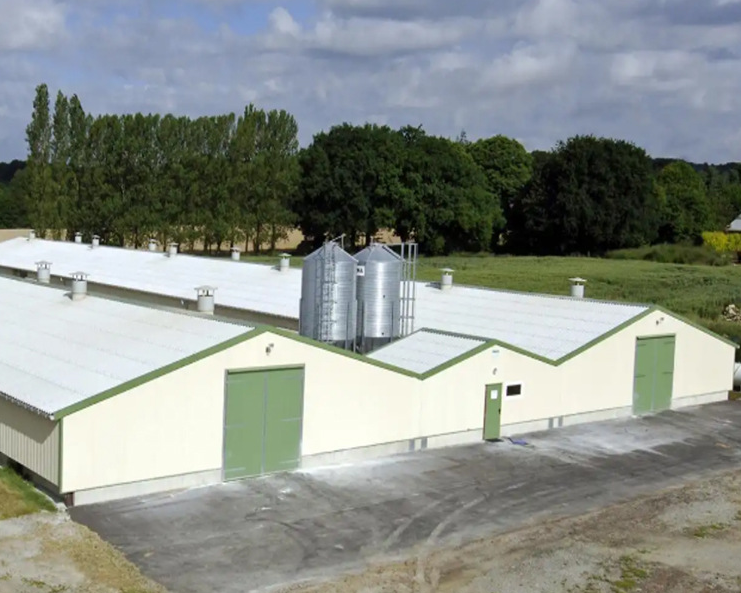 Complete Prefabricated Poultry Farm Rearing Equipment with Auto Feeding and Climate Control for Broiler
