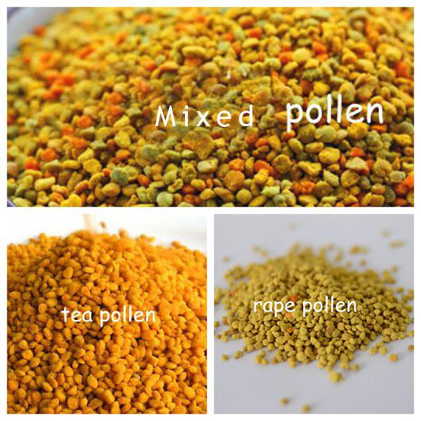 Pure Natural Beepollen a must-have for any environmentally conscious individual