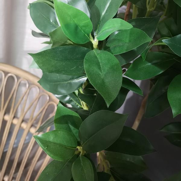 Folhas naturais artificiais sempre-verdes da árvore 30-60cm da fortuna da planta em pasta para a decoração do quarto