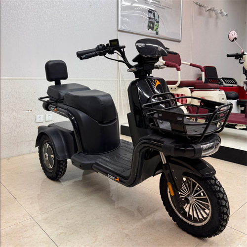 スイング電動三輪車、クールなオートバイ スタイル、60度リーンステアリング