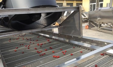 Industrial Mesh Belt Vegetable Dewatering Air Drying Line With 420KG Capacity