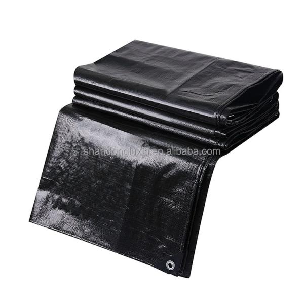Waterproof Tent Fabric PE Tarpaulin in Roll for Lightweight Performance