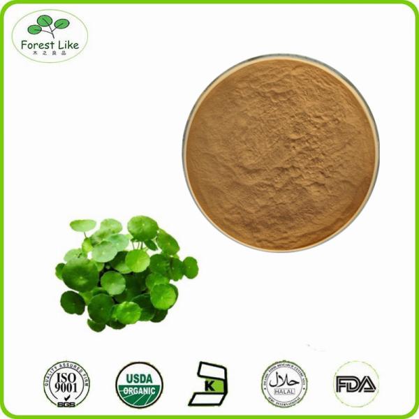 Bulk Supply Centella P.E powder Gotu Kola Extract Asiaticosides