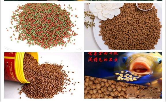 Сухое собачье питание Для кошек Пищевая экструдерная машина Производство кормов для рыб Линия обработки кормов для домашних животных