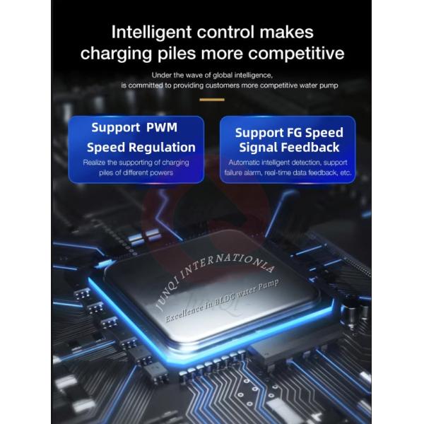 Bomba de sistema de arrefecimento de líquido de carga de veículos elétricos de alta pressão de 24V/12V, série JP80