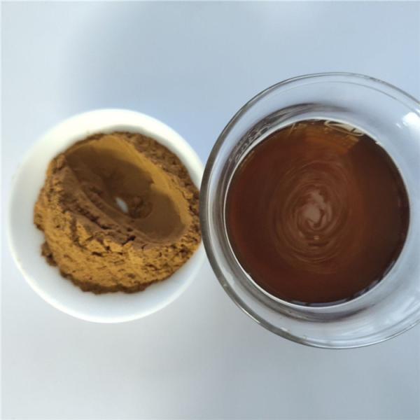 Natural Curcuma Extract For Flavor Enhancer