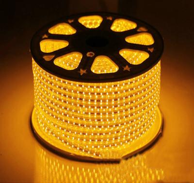 DC12V Waterproof o diodo emissor de luz da tira 120 do diodo emissor de luz de SMD 2835/rolo de M 100m/3 anos de garantia