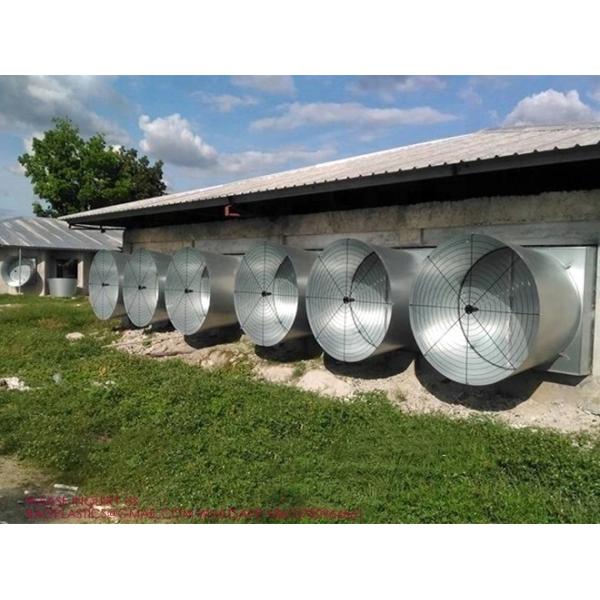 Metal Poultry Ventilation System, Wall Exhaust Fans With Louvers , 24 Inch Exhaust Fan With Shutters