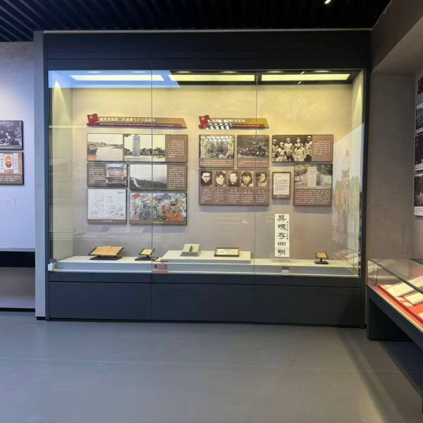 Oversize Wall Vitrine with Power Doors Atmosphere On-wall Or Flush for Museums
