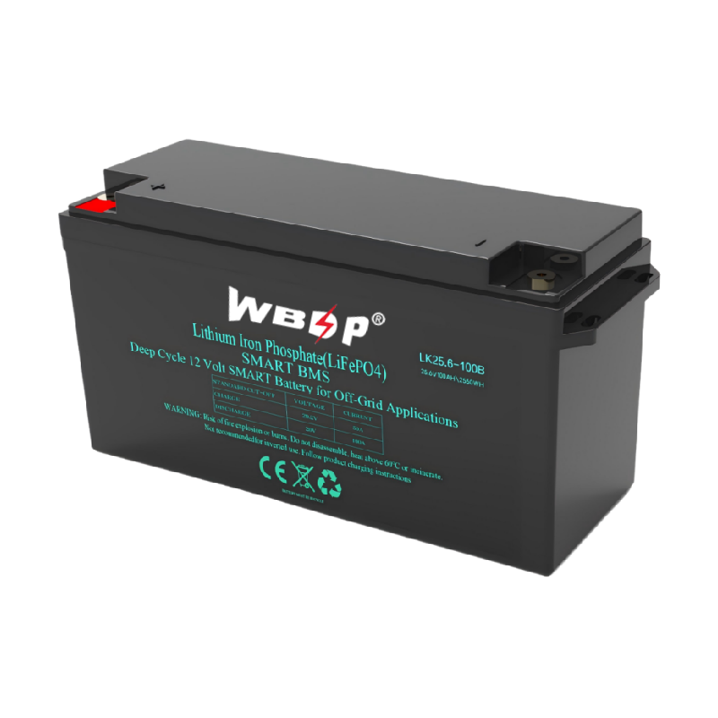 25.6V 24V 100Ah Lithium LiFePo4 Battery Maintenance Free Camper Van Lithium Battery