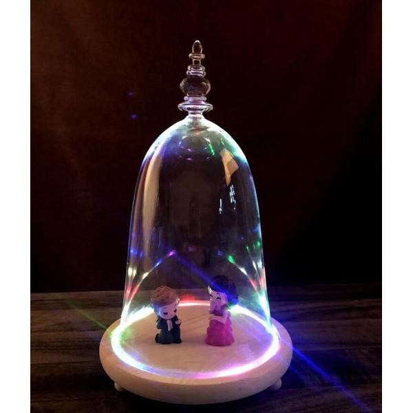 Custom Home Decorative Bell Transparent Glass Cover