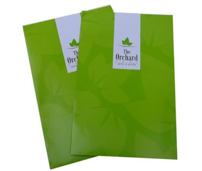 Services d'impression en ligne bon marché adaptés aux besoins du client d'insecte de couleur d'affaires de dossier pour le promo