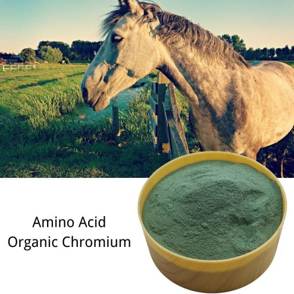 Aminoácidos oligoelementos Proteína Cromo 8% Aditivo para a alimentação animal