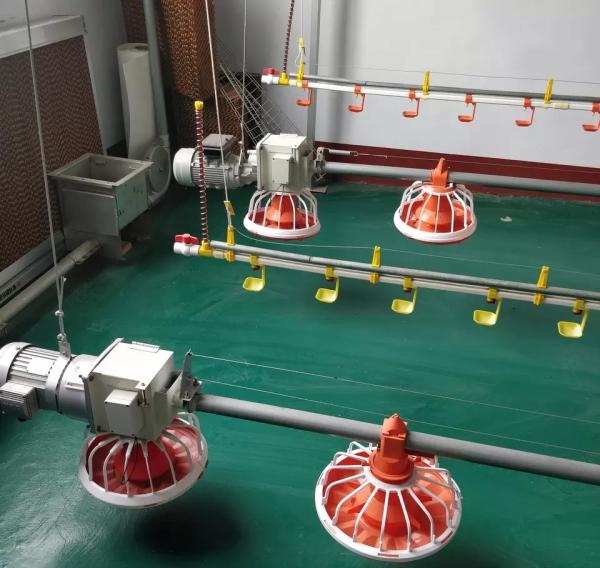 Breeder / Broiler Poultry Farming Machine 14 16 Compartments