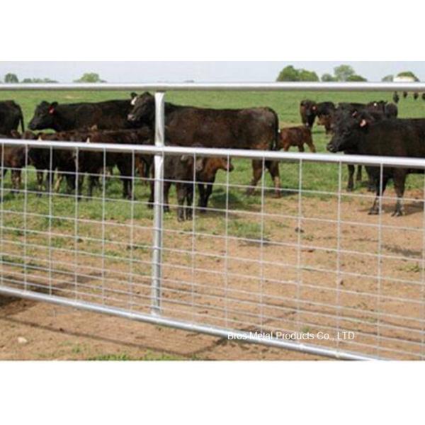Metal Cattle Fence Panels , Galvanized Field Fence For Livestock
