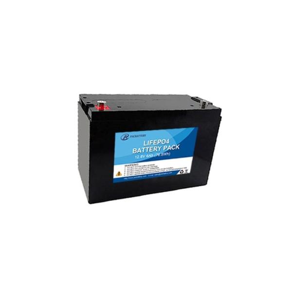 12V 6Ah High Safety Deep Cycle LiFePO4 Battery Long Life for Security and Alarm Systems