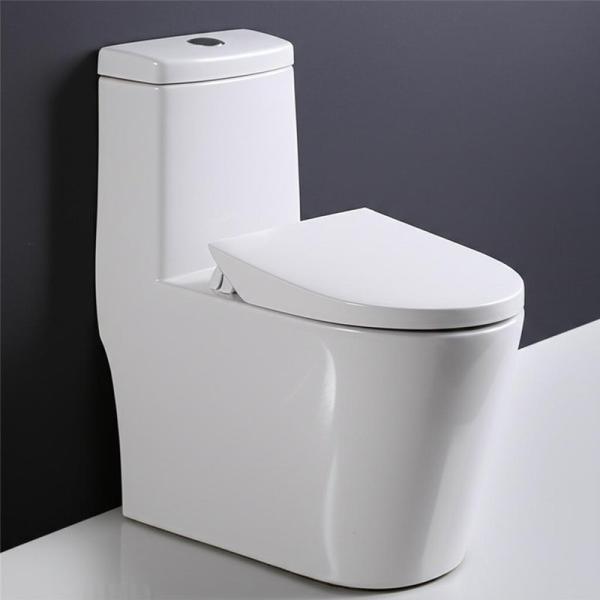 Marque d'eau salle de bains en céramique Tornado évacuation universelle d'entrée toilette en deux pièces