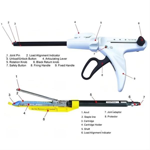 Enhanced Gripping Power Disposable Linear Cutter Stapler Effectively Clamping And Firing