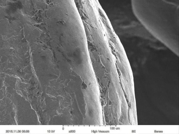 Magnification Max 60000X Scanning Electron Microscope 15nm Resolution Optional EDS