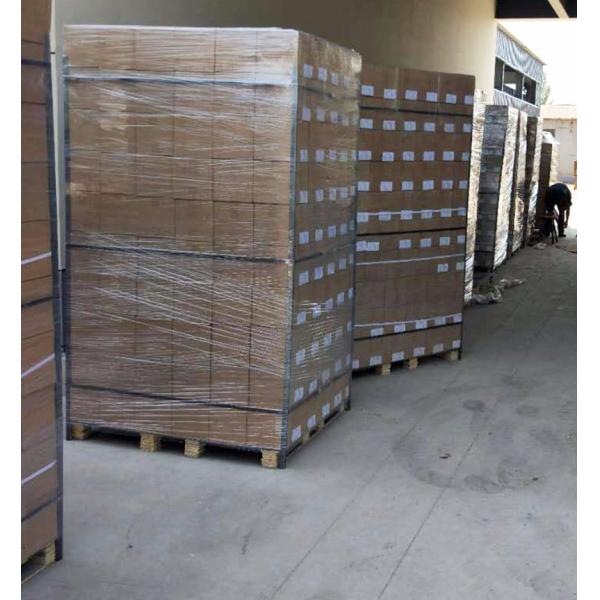 Placas de clavos de zinc de banda El componente esencial para el conector de madera de placa dentada