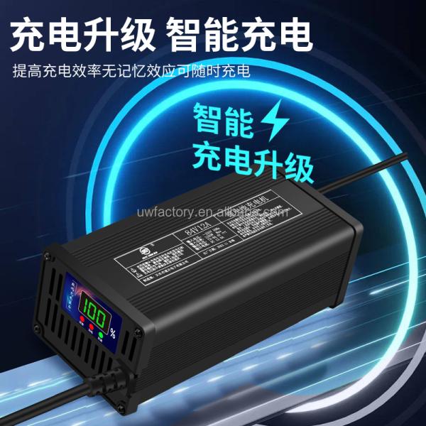 54.6V 48V 20a Lithium Battery Electric Scooter 58.4V 30A Battery Charger with Over-charging Protection and OEM/ODM Acceptance