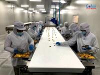 Industrial Dried Fruit Processing Line for Mango Apple Slices