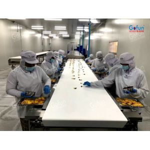 Turnkey Dried Mango Processing Line with Osmo-Dehydration & Air Drying for 1 t/h-20 t/h Capacity