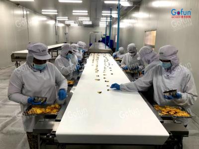 Industrial Dried Fruit Processing Line for Mango Apple Slices