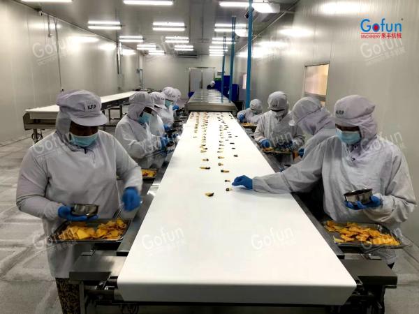 Industrial Dried Fruit Processing Line for Mango Apple Slices