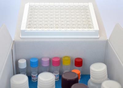 Low Detection Limit Fipronil ELISA Test Kit Used For Shrimp Fish Egg Meat Milk