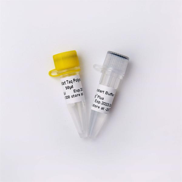 Optimus Hotstart Taq DNA Polymerase PCR Reagent Enzyme P1041