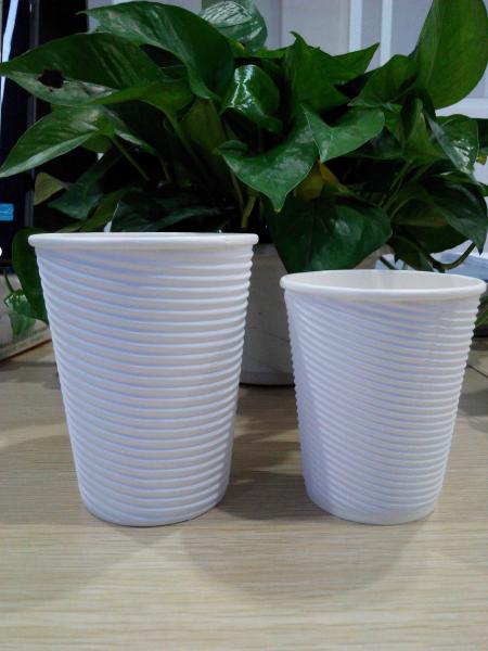 High quality Eco-friendly double wall PLA  paper coffee cups