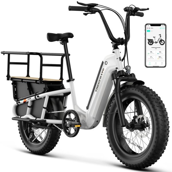 7 Speed Electric Cargo Bike with 250W 48V  Mountain Ebike Motor Fat Tire Battery Disc Brake System