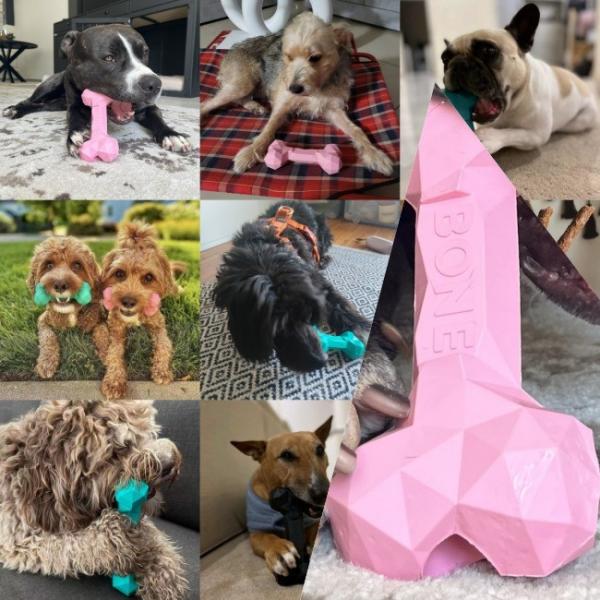 Pet Tooth Cleaning Interactive Bone Toys  Aggressive Chewers Chewing Satisfaction Guaranteed