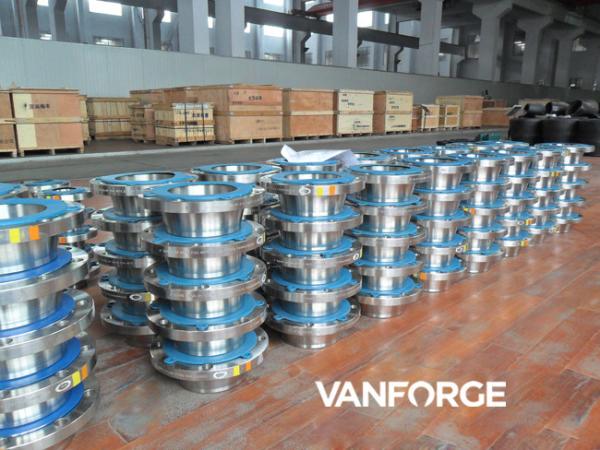 Raised Face Stainless Steel Weld Neck Flange 300LBS For Petrochemical