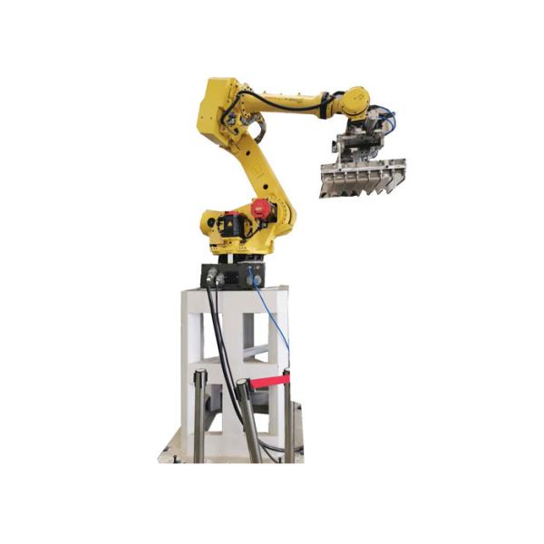 Programmable 4 / 6 Axes FANUC Robotic Arm with 180 kg Payload for High-Speed Palletizing