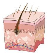 Самый лучший прибор EpiMED- красотки удаления волос цены SHR