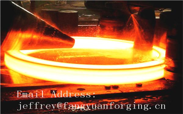 C50 AISI1050 Carbon Steel Forged Ring Hot Rolled Cylinder Forged Disc / Pipe