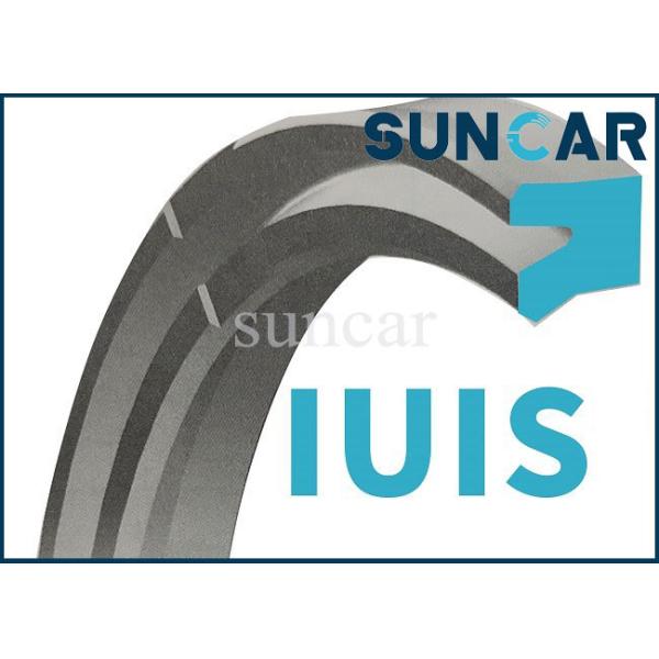 Уплотнение плунжерного штока гидравлического цилиндра IUIS