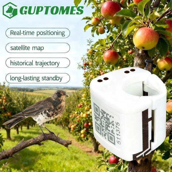 Tipo C Dispositivo de localización GPS de aves pequeñas de doble carga para posicionamiento en tiempo real