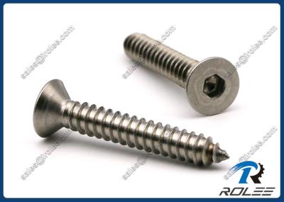 304/316/18-8 Stainless Hex Socket Flat Head Self Tapping Sheet Metal Screws