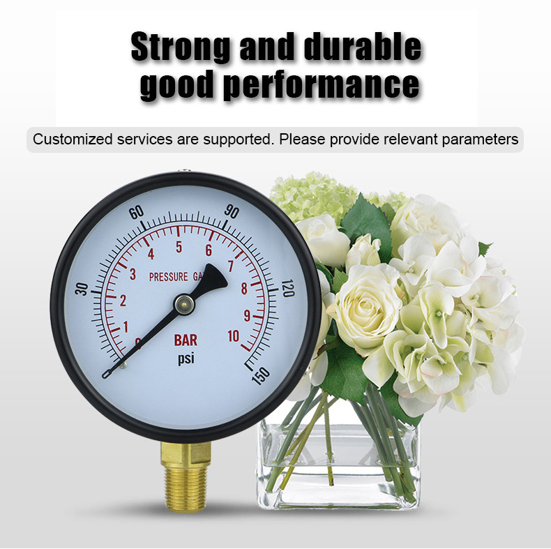 Customized Support OEM 100mm Vacuum Pressure Gauges for Accurate Pressure Measurement