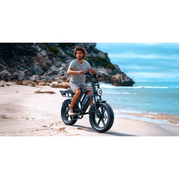 EU Stock R002 Pro DDP Delivery 20A Lithium Battery 105km Electric Fat Tyre Hybrid Cycle Rear Hub Motor Brushless Disc Brakes